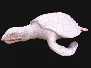 Turtle Reptile Animated 3D Model