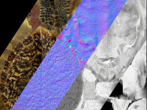 Turtle Reptile Animated 3D Model