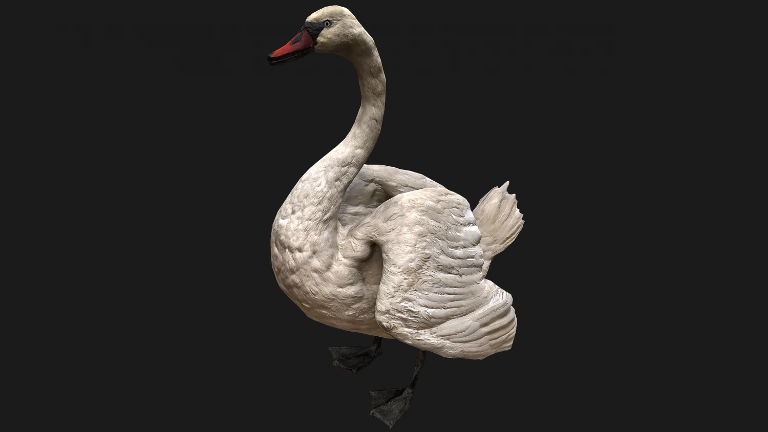 Swan Bird 3D Model .c4d .max .obj .3ds .fbx .stl .blend 