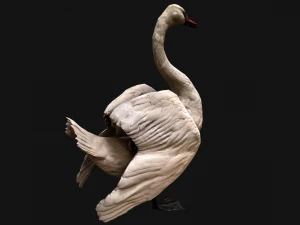 Swan Bird 3D Model