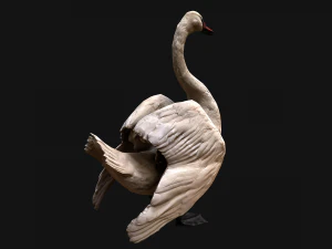 Swan Bird 3D Model