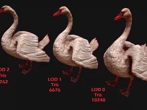 Swan and Ducks Birds Pack 3D Model