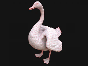 Swan and Ducks Birds Pack 3D Model