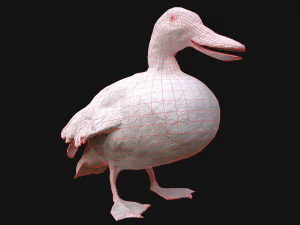 Swan and Ducks Birds Pack 3D Model