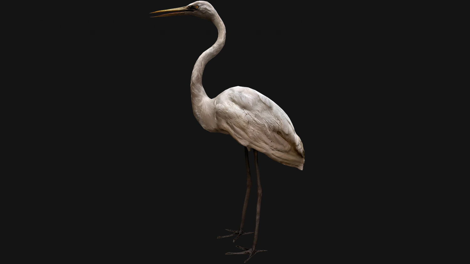 Heron Bird 3D Model .c4d .max .obj .3ds .fbx .stl .blend 