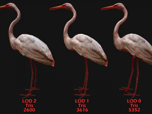 Heron Bird 3D Model