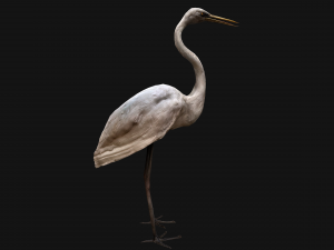 Heron Bird Modelo 3D