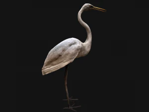 Heron Bird 3D Model