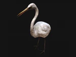 Heron Bird 3D Model
