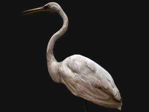 Heron Bird Modelo 3D