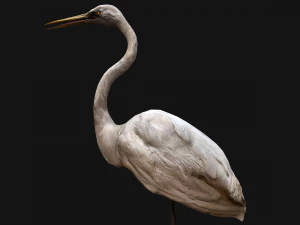 Heron Bird 3D Model