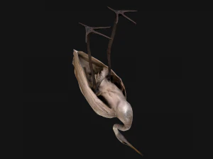 Heron Bird 3D Model