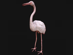 Heron Bird 3D Model