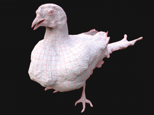 Bird Set Swan Heron Ducks Pheasant Modelo 3D