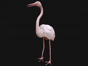 Bird Set Swan Heron Ducks Pheasant Modelo 3D