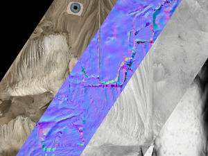 Bird Set Swan Heron Ducks Pheasant Modelo 3D