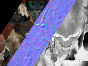 Bird Set Swan Heron Ducks Pheasant Modelo 3D