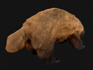 Badger Model 3D
