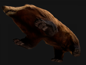 Badger Model 3D