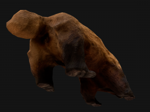 Badger Model 3D