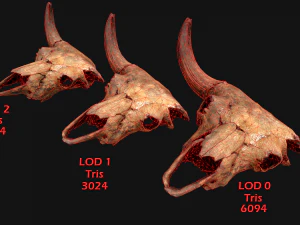 Bull Cow Skull 3D Model