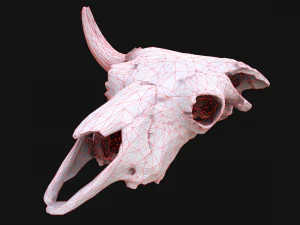 Bull Cow Skull 3D Model
