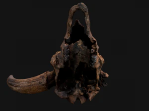 Bull Cow Skull 3D Model