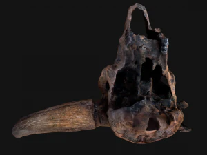 Bull Cow Skull 3D Model