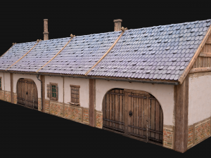 Medieval Buildings Set 3D Model