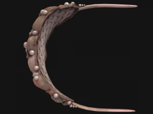 Sea Crown Mermaid Hair Band 3D Model