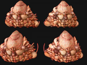 Crown Seashell Tiara Sea Princess Ocean Queen Headdress 3D Model