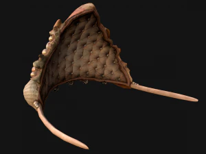 Crown Seashell Tiara Sea Princess Ocean Queen Headdress 3D Model