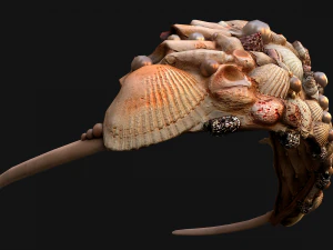 Crown Seashell Tiara Sea Princess Ocean Queen Headdress 3D Model