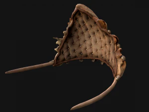 Crown Seashell Tiara Sea Princess Ocean Queen Headdress 3D Model