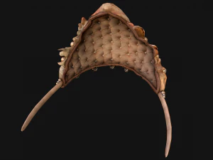 Crown Seashell Tiara Sea Princess Ocean Queen Headdress 3D Model