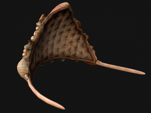 Barbie Crown Seashell Tiara Modello 3D