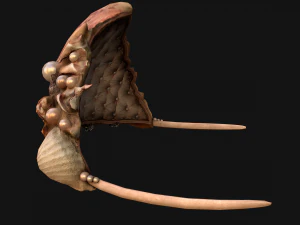 Crown Seashell Tiara Sea Princess Ocean Queen Headdress 3D Model