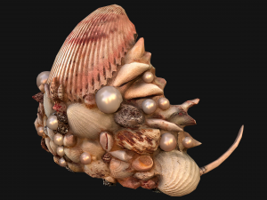 Barbie Crown Seashell Tiara Modello 3D