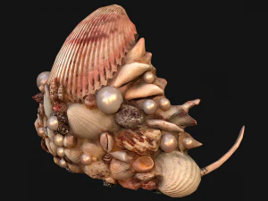 Crown Seashell Tiara Sea Princess Ocean Queen Headdress 3D Model