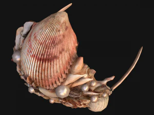Crown Seashell Tiara Sea Princess Ocean Queen Headdress 3D Model