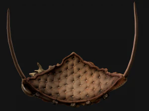 Crown Seashell Tiara Sea Princess Ocean Queen Headdress 3D Model