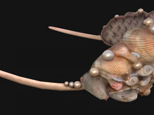 क्वीन क्राउन प्रिंसेस टियारा सेट 3D मॉडल