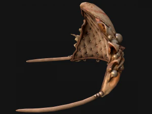 क्वीन क्राउन प्रिंसेस टियारा सेट 3D मॉडल