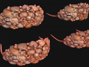 क्वीन क्राउन प्रिंसेस टियारा सेट 3D मॉडल