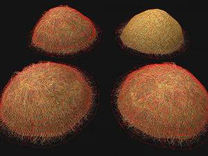 Haystack Stack of Hay Straw Pile 3D Model