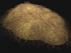 Haystack and Straw on Earth 3D Model