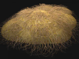 Haystack and Straw on Earth 3D Model