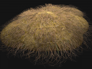 Haystack and Straw on Earth Model 3D