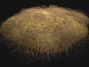 Haystack and Straw on Earth 3D Model
