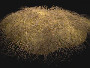 Haystack and Straw on Earth 3D Model